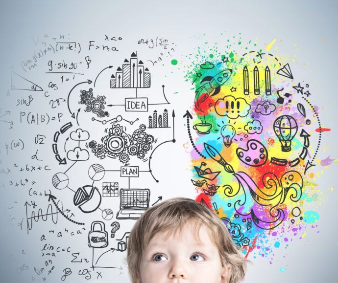 Ребёнок и развитие мозга