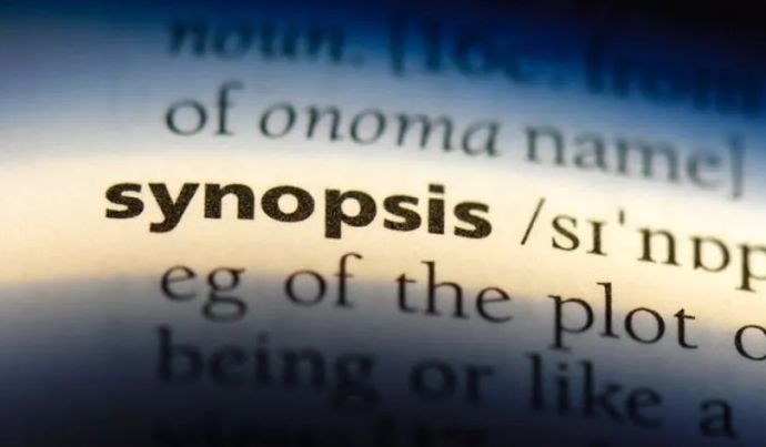 Что такое синопсис?
